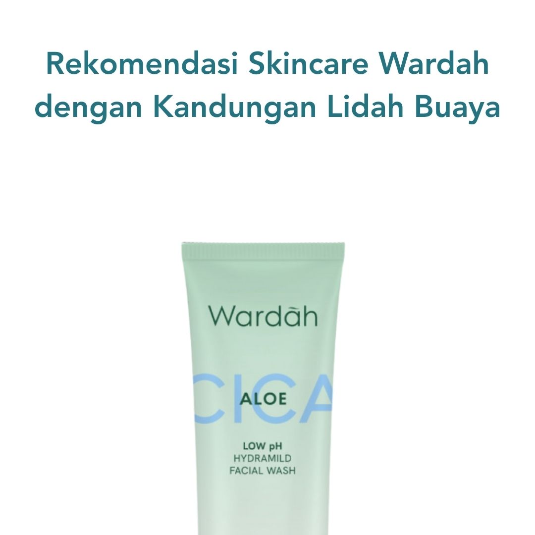Rekomendasi Skincare Wardah dengan Kandungan Lidah Buaya