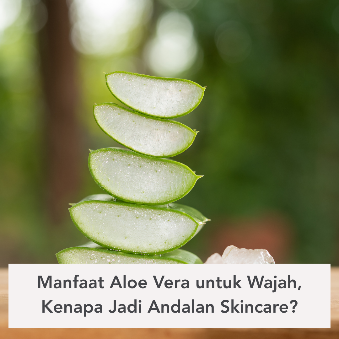 Manfaat Aloe Vera untuk Wajah